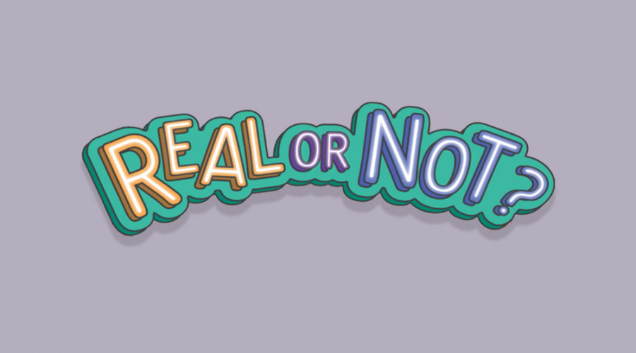 Wildlife trading picture